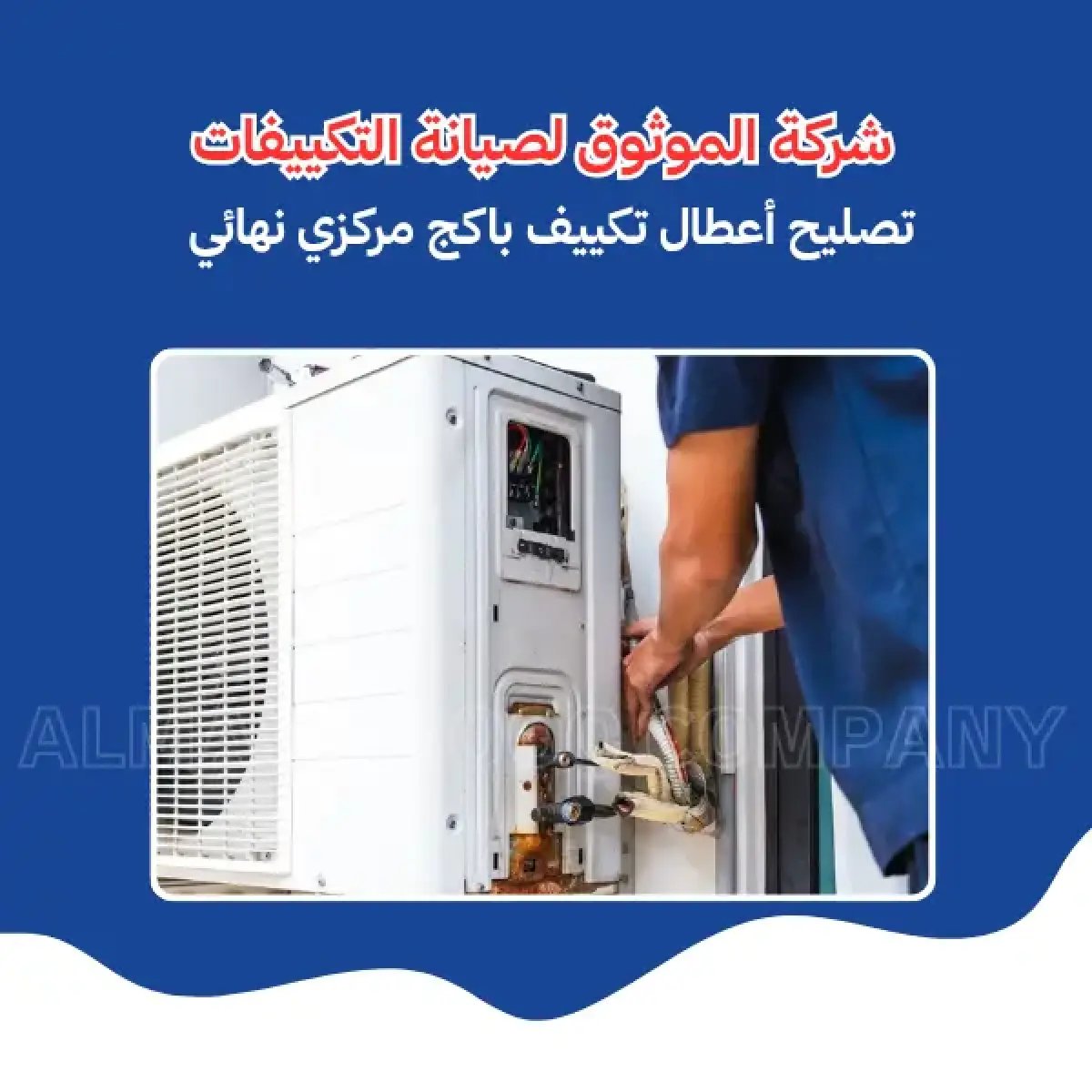 صورة من المعرض